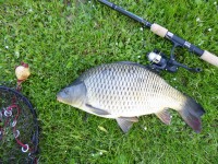 /album/fotogalerie-stredisko-2/p1040389-jpg1/